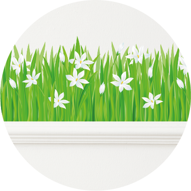 Muursticker gras strook witte bloemen