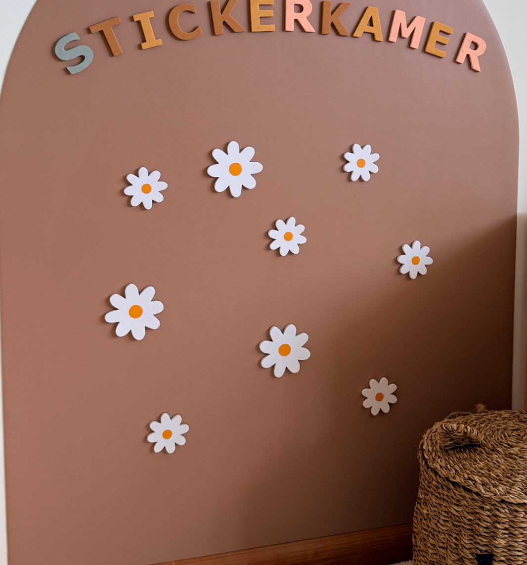 Magneet bloemen daisy set van 6