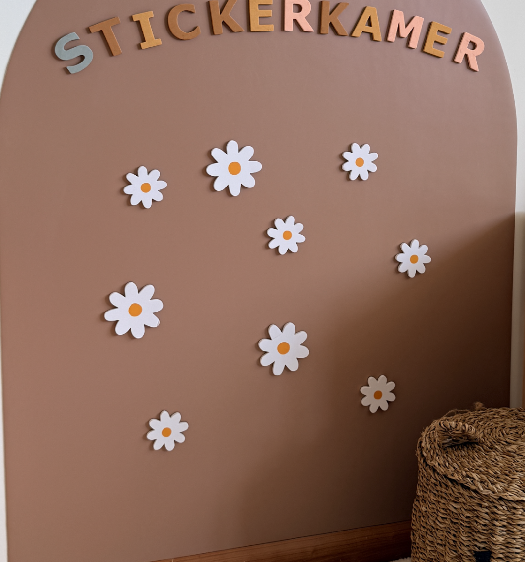 Magneet bloemen daisy set van 6