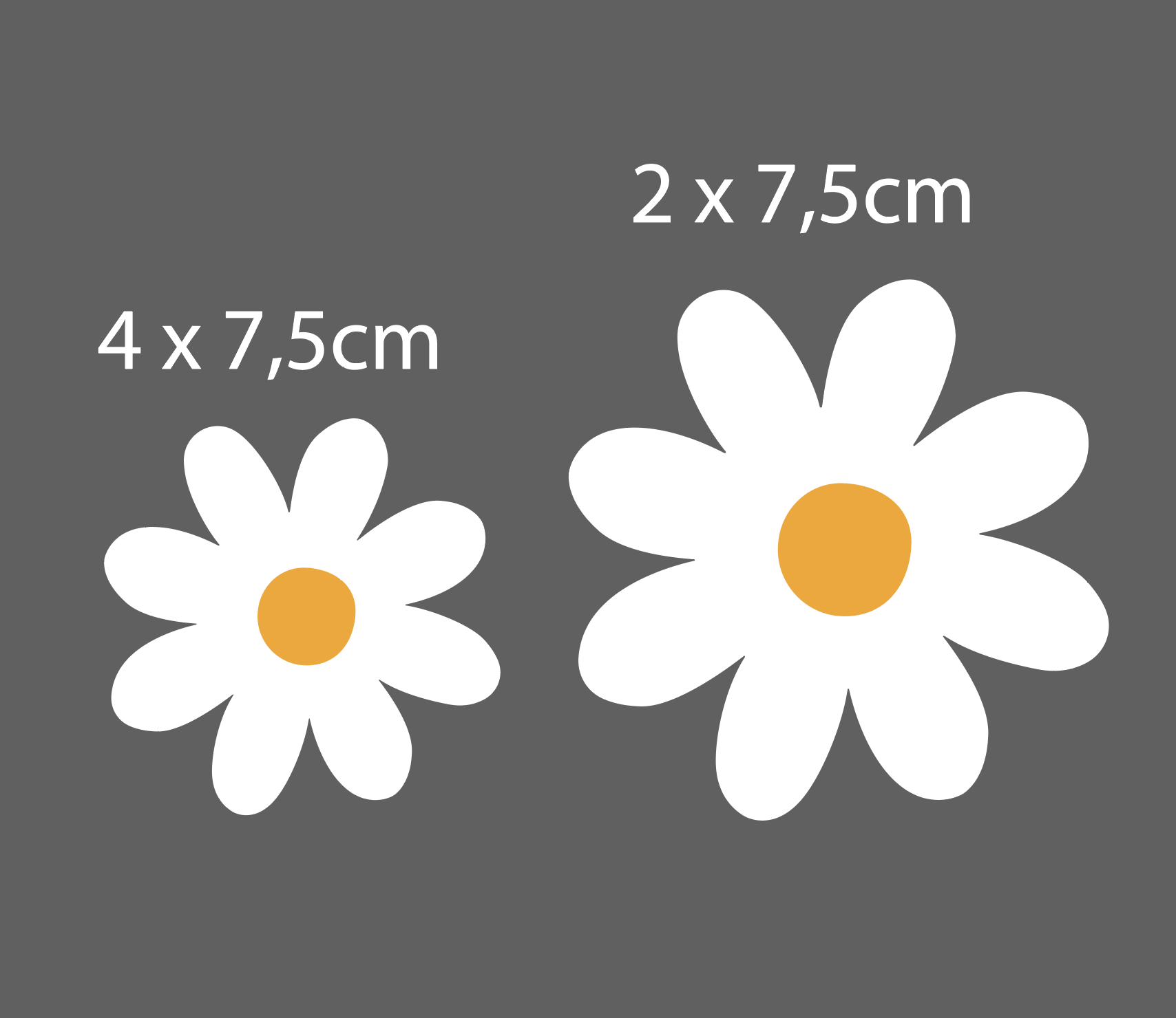 Magneet bloemen daisy set van 6
