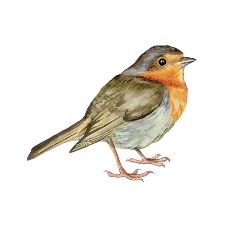 Muursticker vogel roodborst